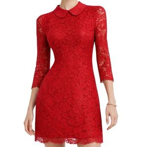 Ted Baker Ameera Scallop Hem Lace Dress